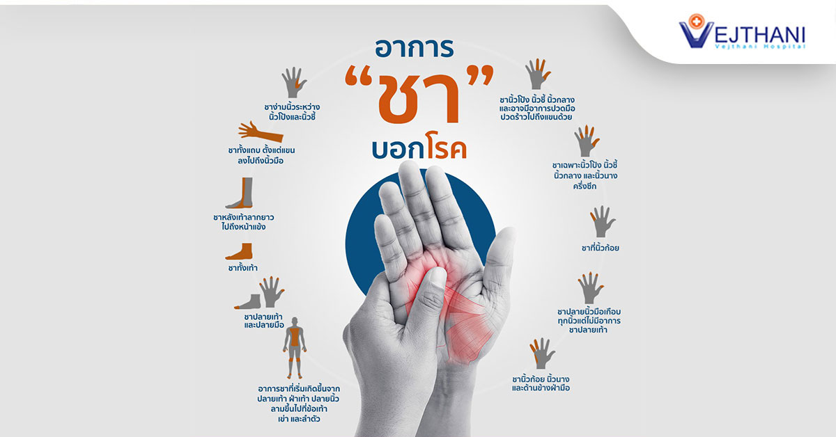 ซ่อมลิ้นหัวใจ