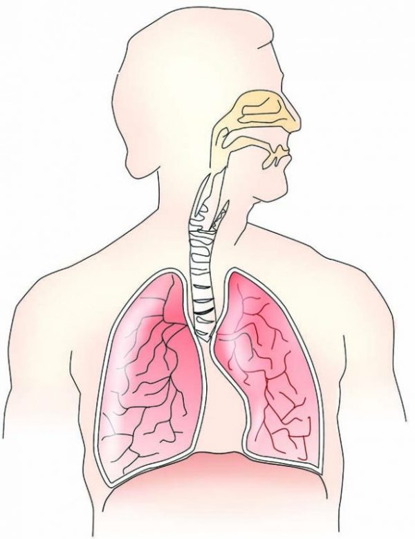 “Lung Cancer” can be treated successfully if found in early stage