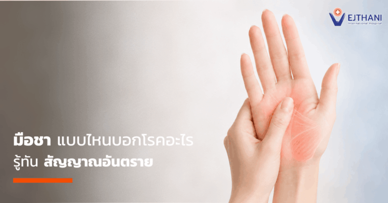 มือชา