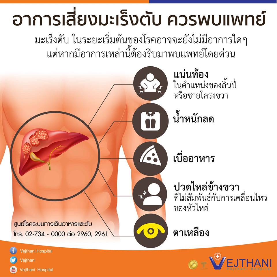 5 อาการเสี่ยง มะเร็งตับ ควรพบแพทย์ - Vejthani Hospital 5 อาการเสี่ยง มะเร็งตับ ควรพบแพทย์ - Vejthani Hospital