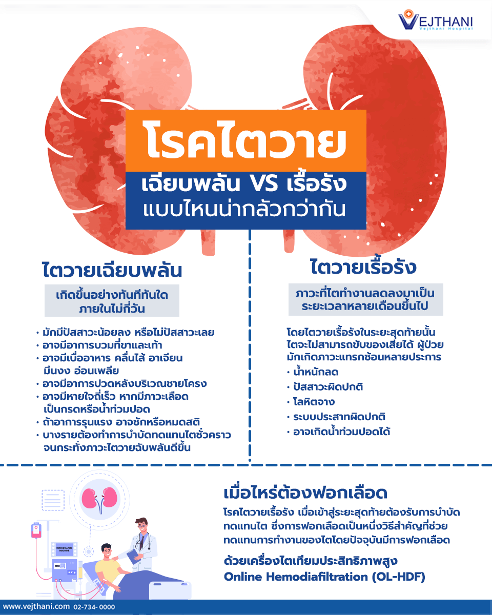 โรคไตวายเฉียบพลัน VS เรื้อรัง แบบไหนน่ากลัวกว่ากัน ? - Vejthani Hospital โรคไตวายเฉียบพลัน Vs เรื้อรัง แบบไหนน่ากลัวกว่ากัน ? - Vejthani Hospital