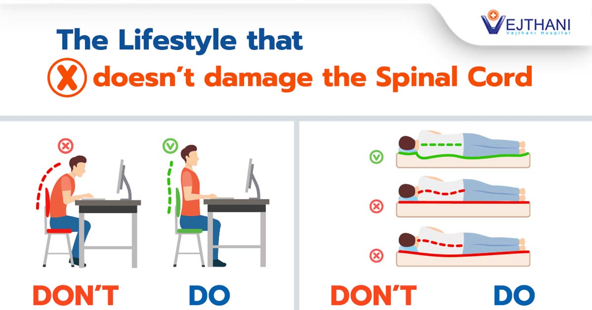 The Lifestyle that doesn’t damage the Spinal Cord