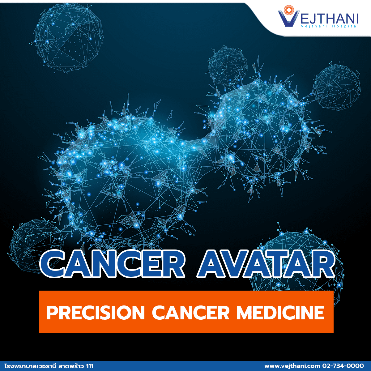 Cancer Avatars for Personalized Medicine