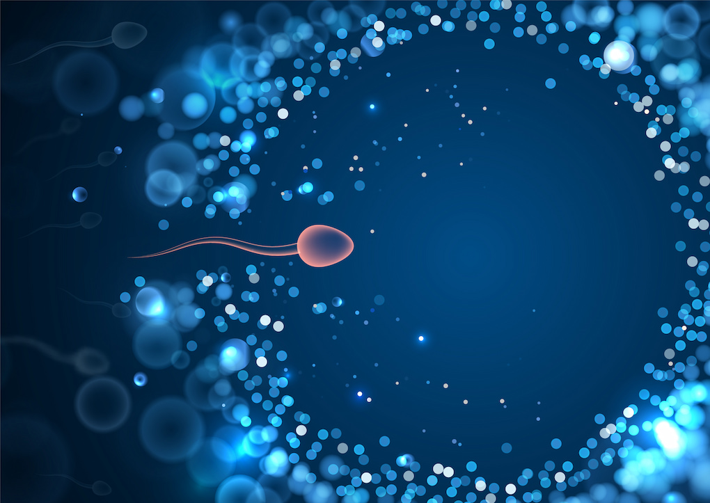 IVF May Offer the Best Chance for Twin Babies in Thailand