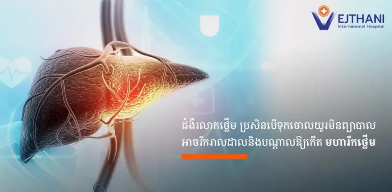 មេរោគរលាកថ្លើម ប្រសិនបើមិនបានព្យាបាលទេ វាអាចនាំឱ្យខ្សោយថ្លើម ក្រិនថ្លើម ឬមហារីកថ្លើមបាន