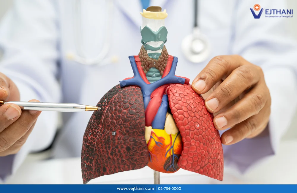 Lung Cancer Treatment