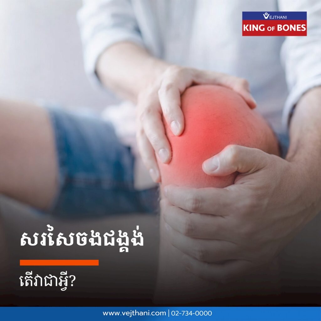 សរសៃចងជង្គង់