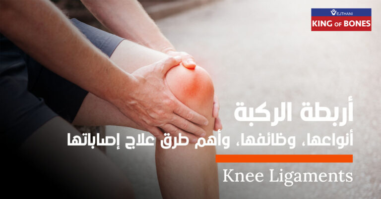 أربطة الركبة