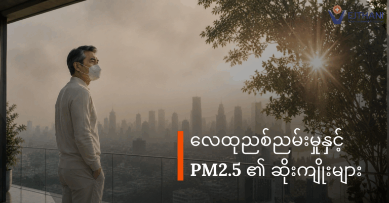 PM2.5၏ဆိုးကျိုး