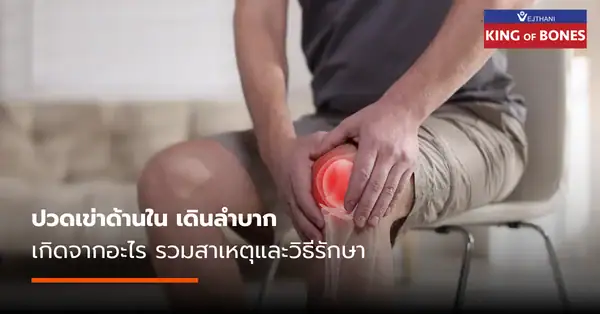 ปวดเข่าด้านใน เกิดจากอะไร รวมสาเหตุและวิธีรักษา