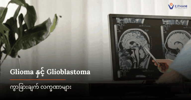 ဂလိုင်အိုးမား (Glioma)နှင့် ဂလိုင်အိုဗလက်စတိုးမား (Glioblastoma)