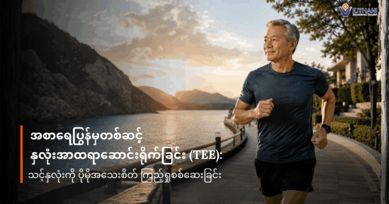 အစာပြွန်မှတစ်ဆင့်နှလုံးအာထရာဆောင်းရိုက်ခြင်း (TEE)