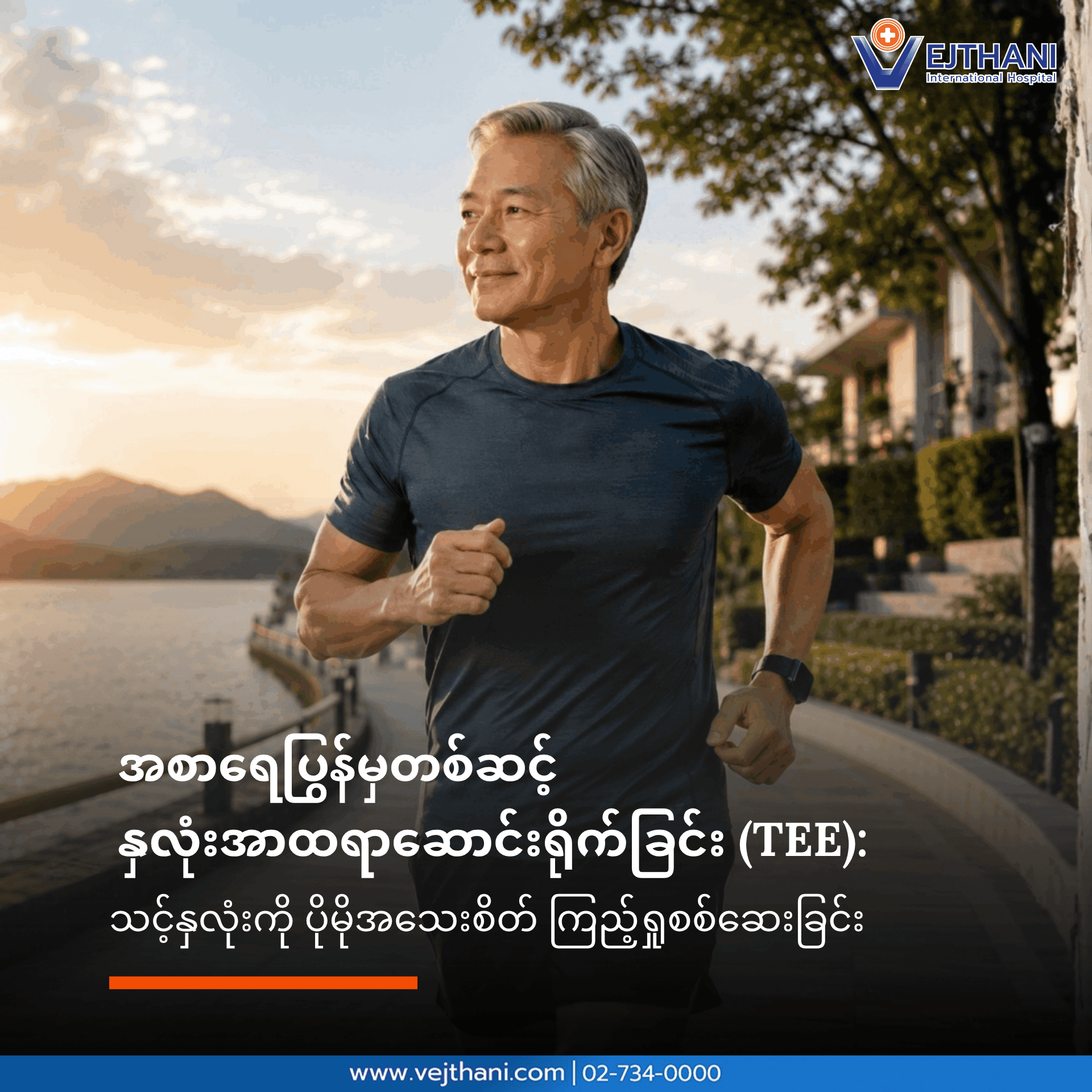 အစာပြွန်မှတစ်ဆင့်နှလုံးအာထရာဆောင်းရိုက်ခြင်း (TEE)