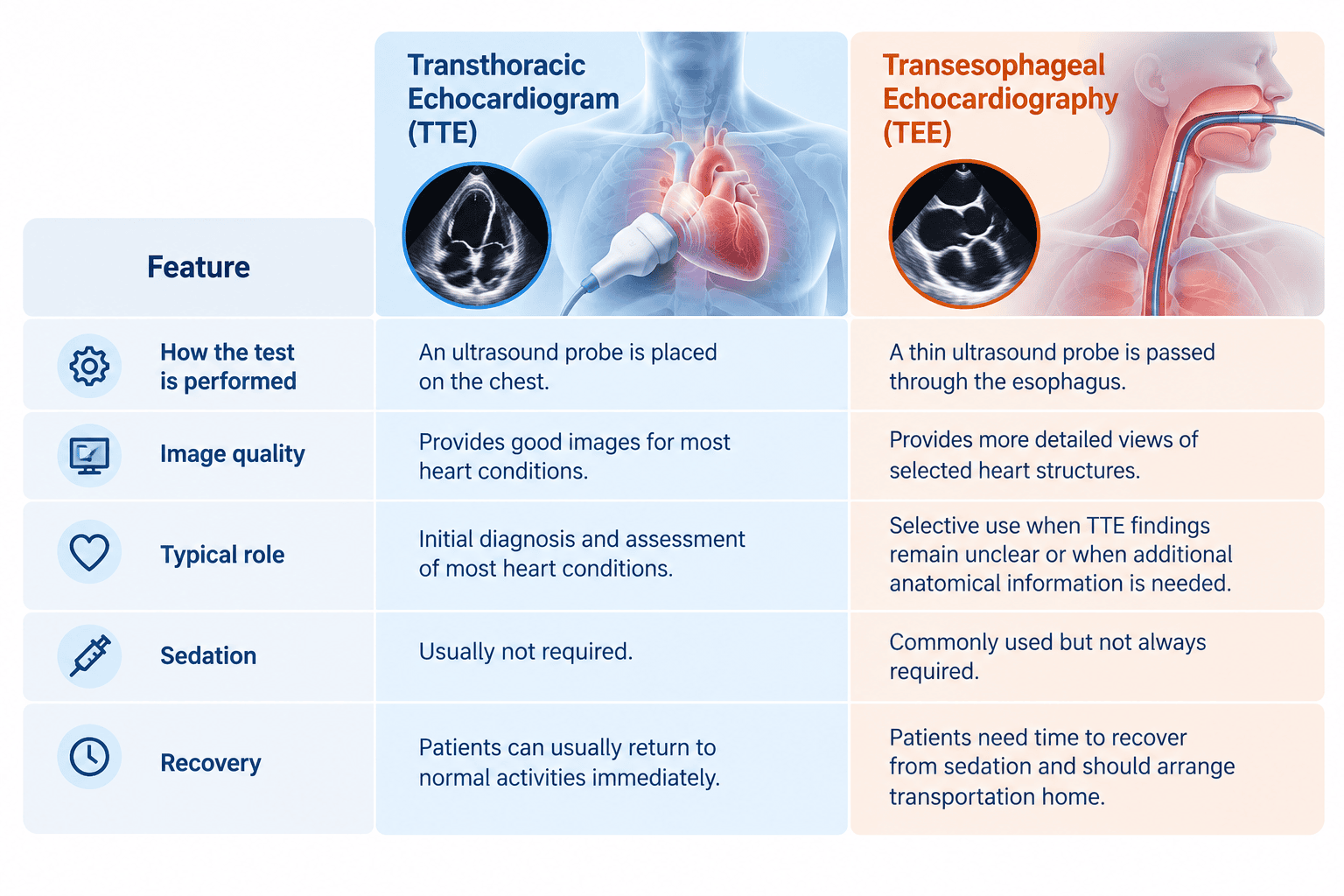 Transesophageal Echocardiography (TEE test) and a transthoracic echocardiogram (TTE) use ultrasound to examine the heart. Each test, however, serves a distinct purpose. Doctors typically start with a TTE, as it's non-invasive. If more detailed imaging or a closer look at specific heart structures is needed, they may then recommend a TEE.