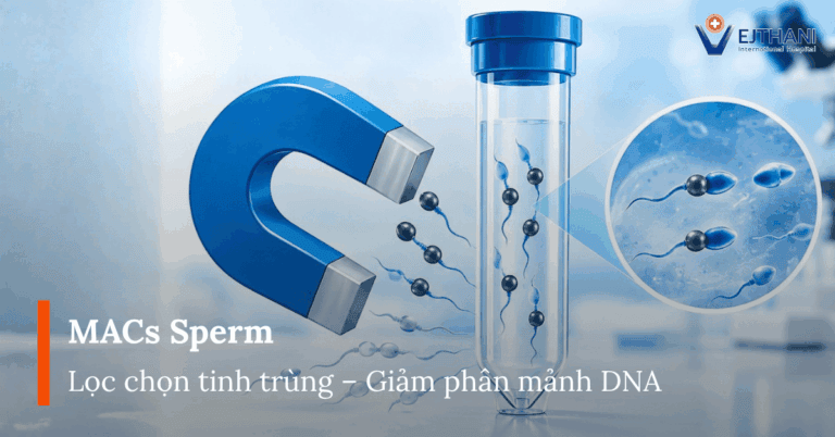MACs Sperm - Sàng Lọc Tinh Trùng Chất Lượng