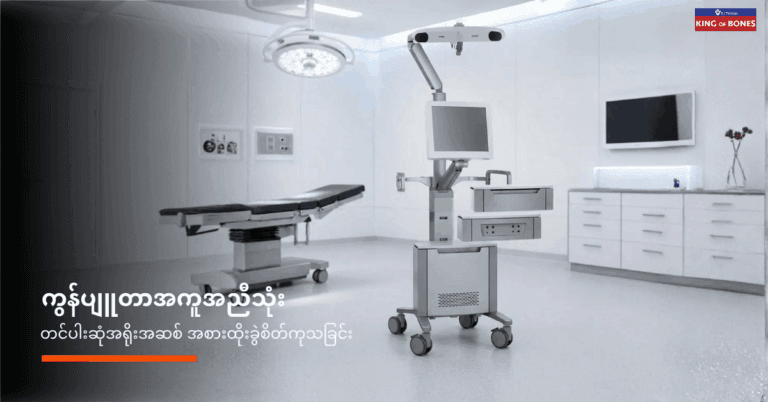 တင်ပါးဆုံအရိုးအဆစ် အစားထိုးခွဲစိတ်ကုသခြင်း
